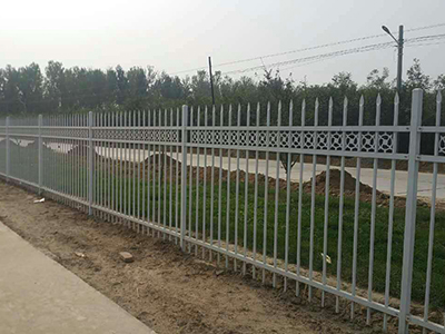 石家庄公园锌钢护栏工程案例图片2
