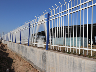 齐齐哈尔学校围墙护栏图片2