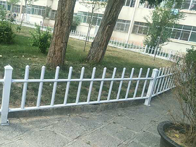 齐齐哈尔小区草坪护栏图片4